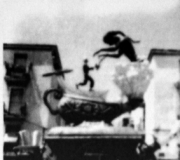 1981